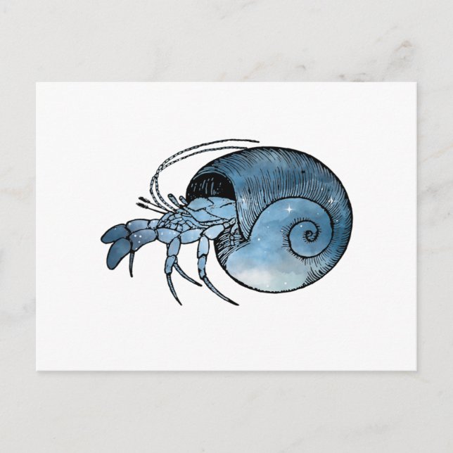 Carte Postale Crabe hermite (Devant)