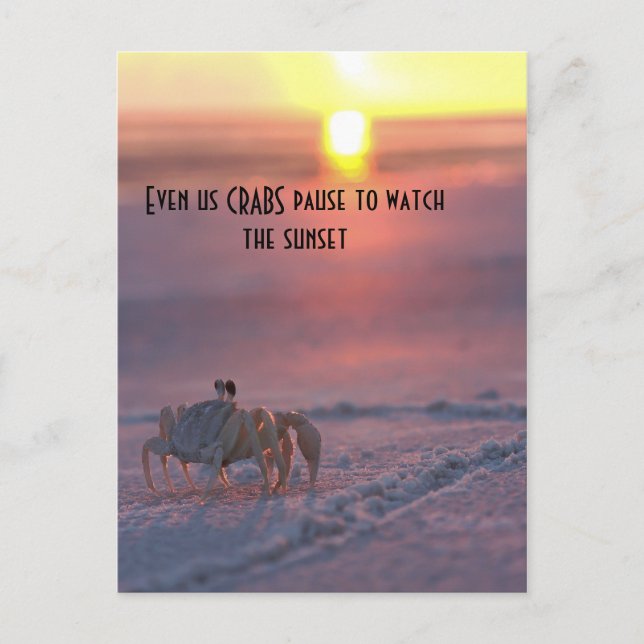 Carte Postale Crabe regardant le coucher du soleil (Devant)