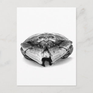 Carte Postale Crabe rocheuse de la Nouvelle-Angleterre I