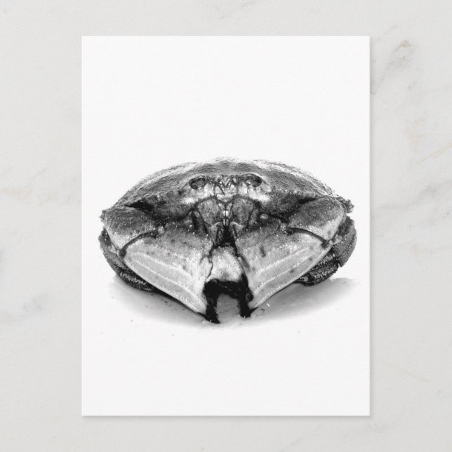 Carte Postale Crabe rocheuse de la Nouvelle-Angleterre I (Devant)