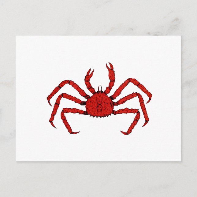 Carte Postale Crabe rouge (illustration couleur) (Devant)