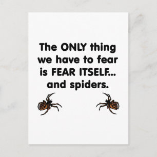 Carte Postale Craignez-vous les araignées