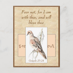 Carte Postale Crainte non encouragée Aquarelle Oiseau