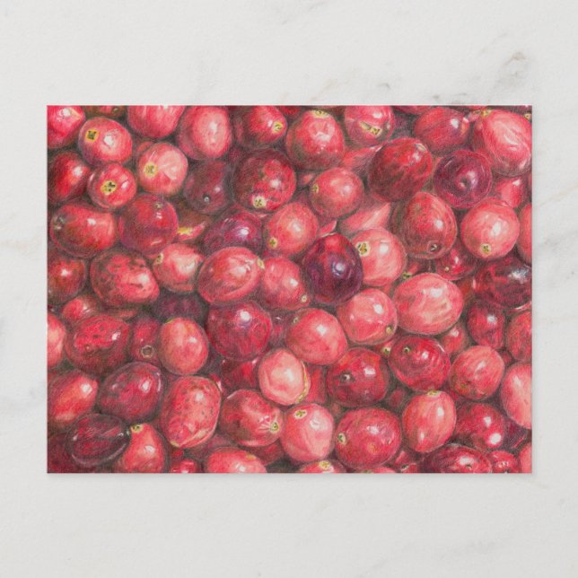 Carte Postale Cranberries Still Life (Devant)