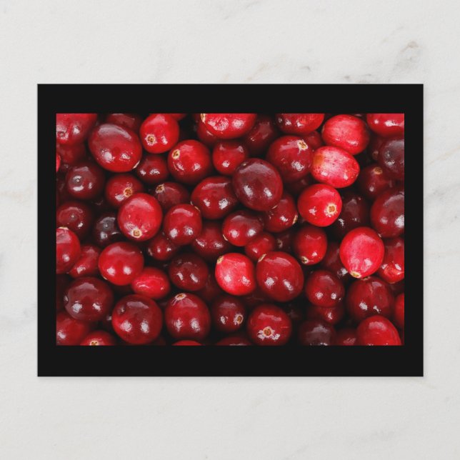 Carte Postale Cranberry (Devant)