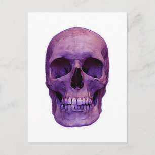 Carte Postale Crâne