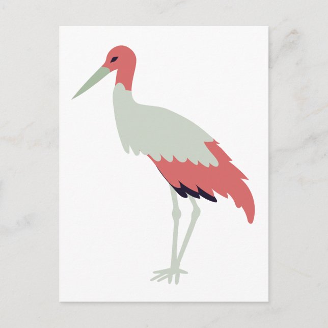 Carte Postale Crane Bird (Devant)