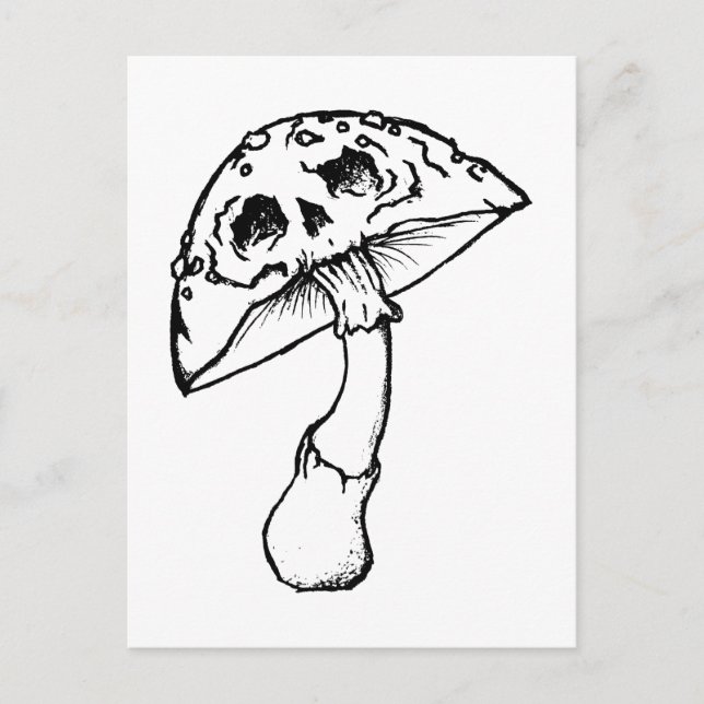 Carte Postale crâne de champignon (Devant)