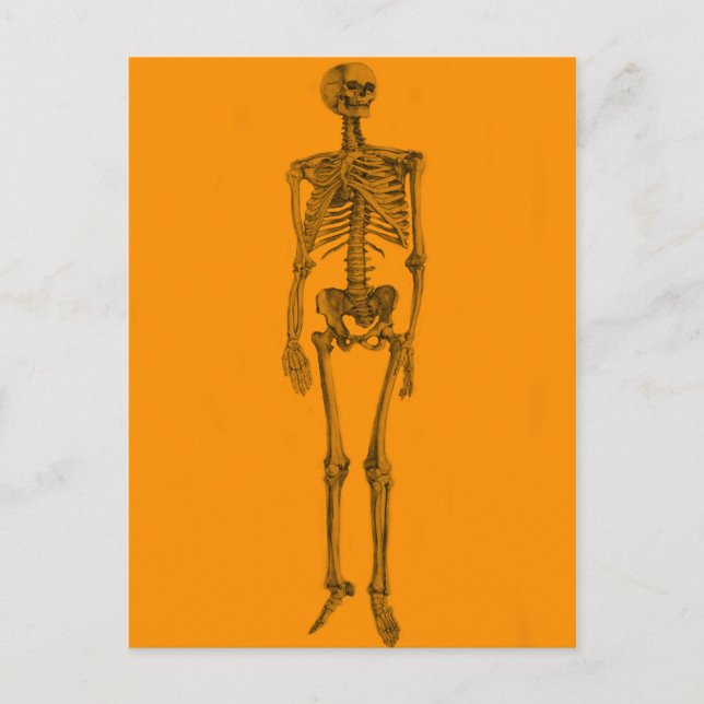 Carte Postale Crâne de squelette orange (Devant)