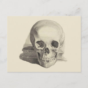 Carte Postale Crâne et livre