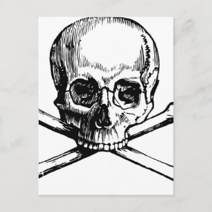 Carte Postale Crâne et os