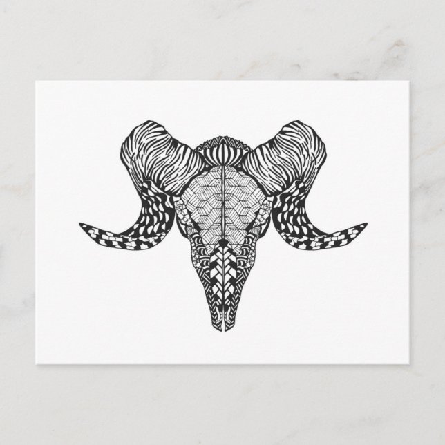 Carte Postale Crâne mouton inspiré (Devant)