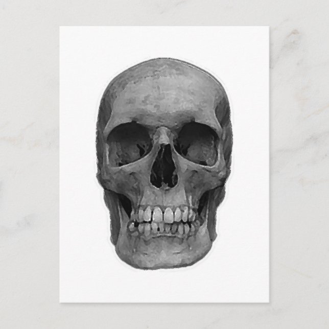 Carte Postale Crâne noir et blanc (Devant)