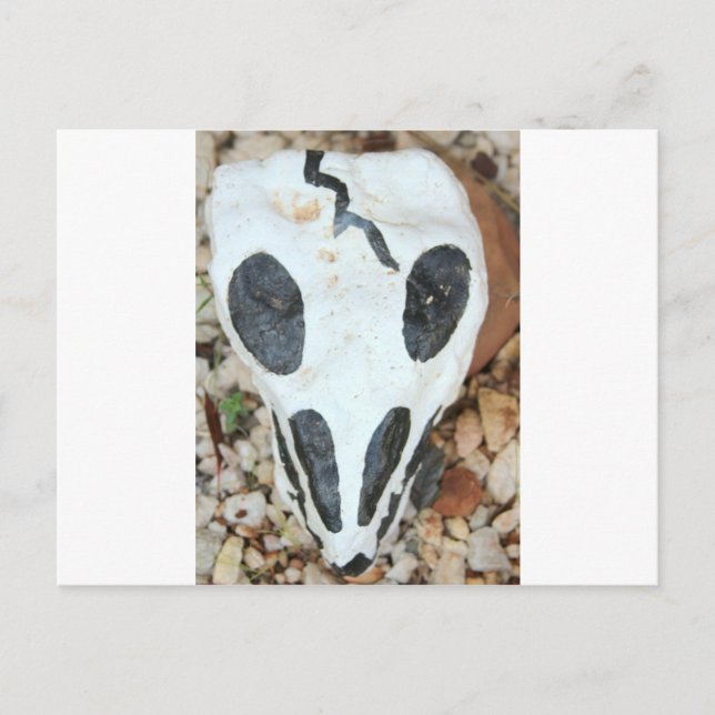 Carte Postale crâne peint (Devant)