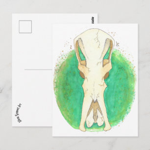 Carte Postale Crâne Platypus