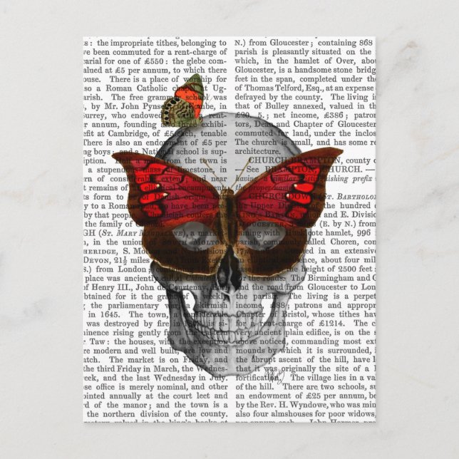 Carte Postale Crâne rose de masque de papillon (Devant)