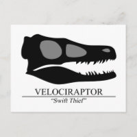 Crâne Velociraptor