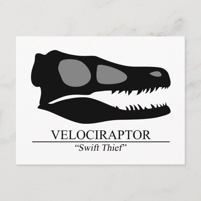 Carte Postale Crâne Velociraptor (Devant)