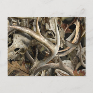 Carte Postale Crânes de cerfs Camo