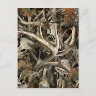 Carte Postale Crânes de cerfs communs de Camo