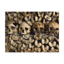 Carte postale Crânes et os Catacombes de Paris