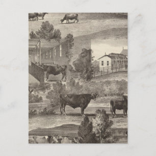 Carte Postale Cranmoor Farm, Toms River, NJ