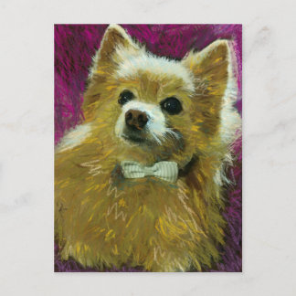 Carte Postale Cravate inférieure no 2