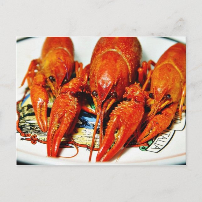 Carte Postale Crawfish Crawdads Éclair (Devant)