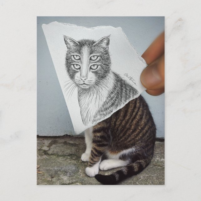 Carte Postale Crayon contre l'appareil-photo - chat de 4 yeux (Devant)