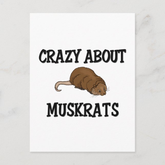 Carte Postale Crazy à propos de Muskrats (Devant)