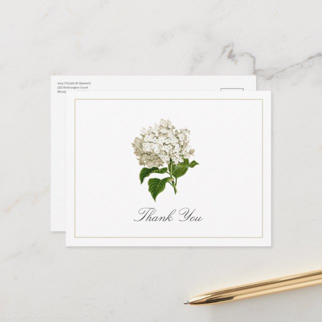 Carte Postale Cream White Hydrangea Bloom Traditional Thank You (Devant/Arrière en situation)