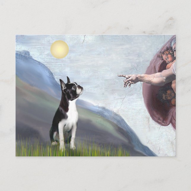 Carte Postale Création du Boston Terrier (#3) (Devant)
