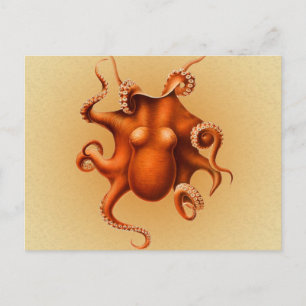 Carte Postale Créature du monstre de la mer d'Octopus Cephalapod