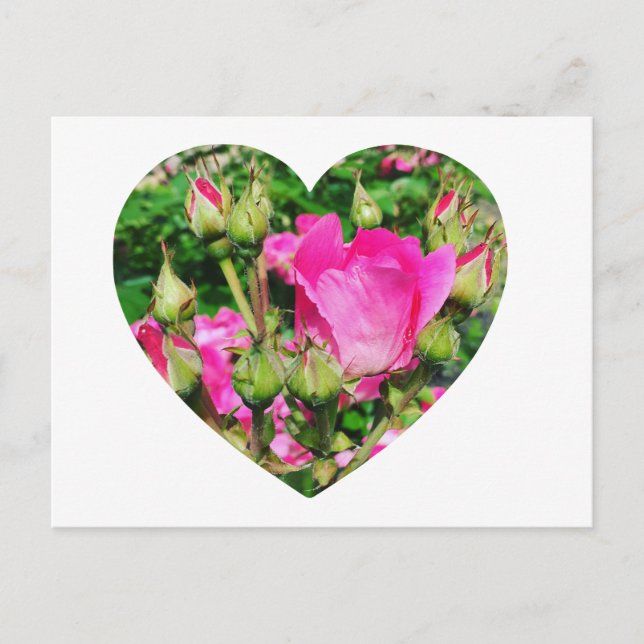 Carte Postale Créez votre propre forme de coeur photo (Devant)