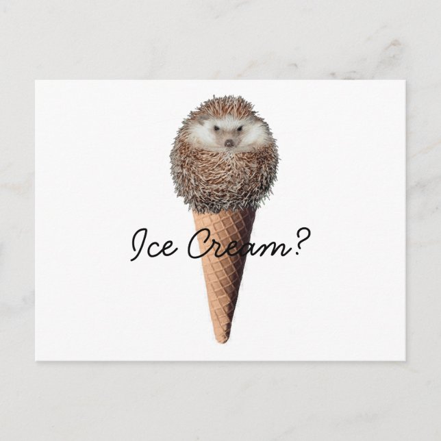 Carte Postale Crème de glace de hérisson (Devant)
