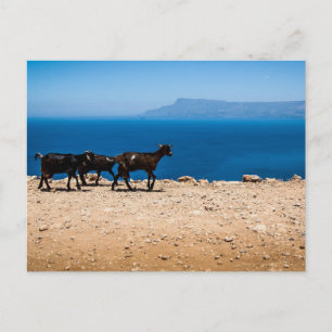 Carte Postale Crète 8