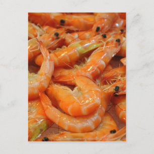 Carte Postale Crevettes crevettes
