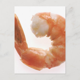 Carte Postale Crevettes cuites