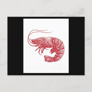 Carte Postale Crevettes de homard rouge