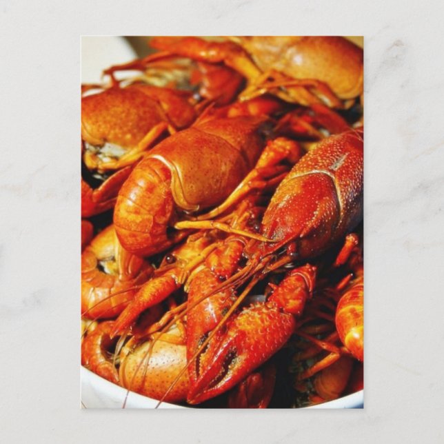 Carte Postale Crevettes de langouste (Devant)