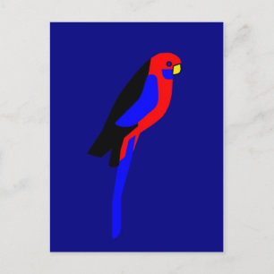 Carte Postale Crimson Rosala - Perrot australien