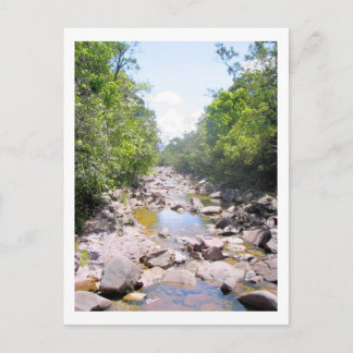Carte Postale Crique au Venezuela paysage de la jungle