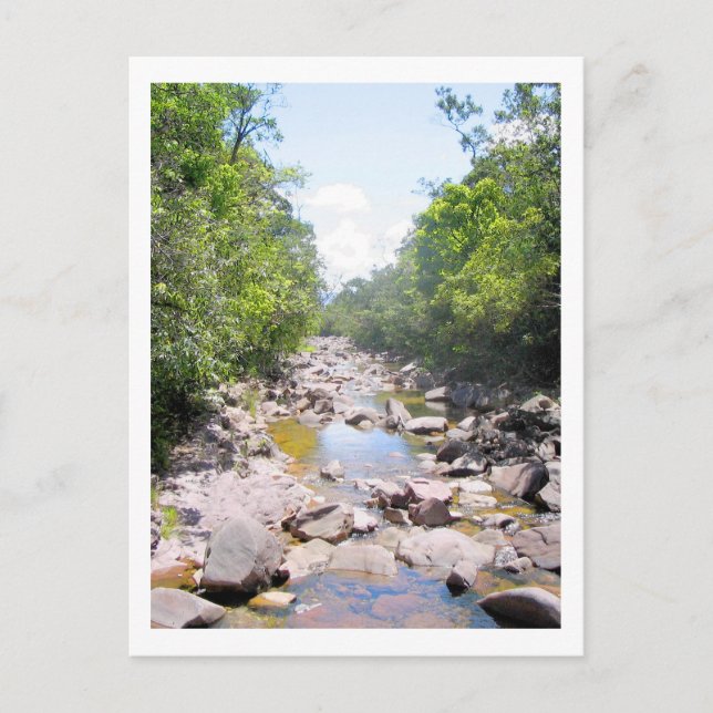Carte Postale Crique au Venezuela paysage de la jungle (Devant)