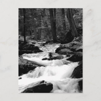 Carte Postale Crique de course d'étang