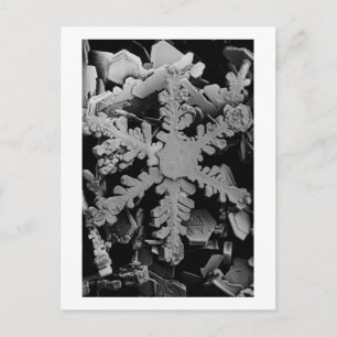Carte Postale Cristal à neige