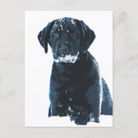 Cristaux de neige - Labrador de neige - Black Lab 