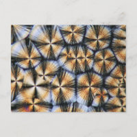 cristaux de vitamine C au microscope