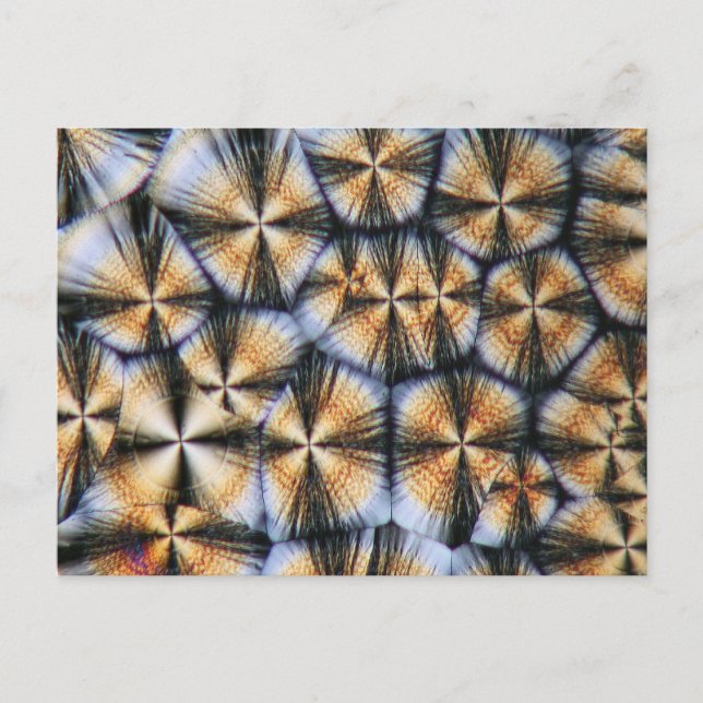 Carte Postale cristaux de vitamine C au microscope (Devant)