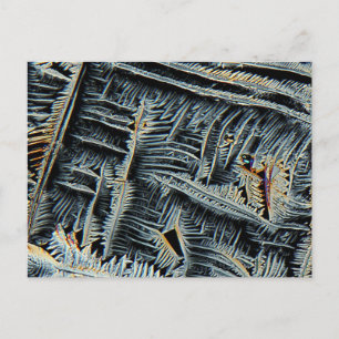 Carte Postale cristaux dendritiques sous microscope