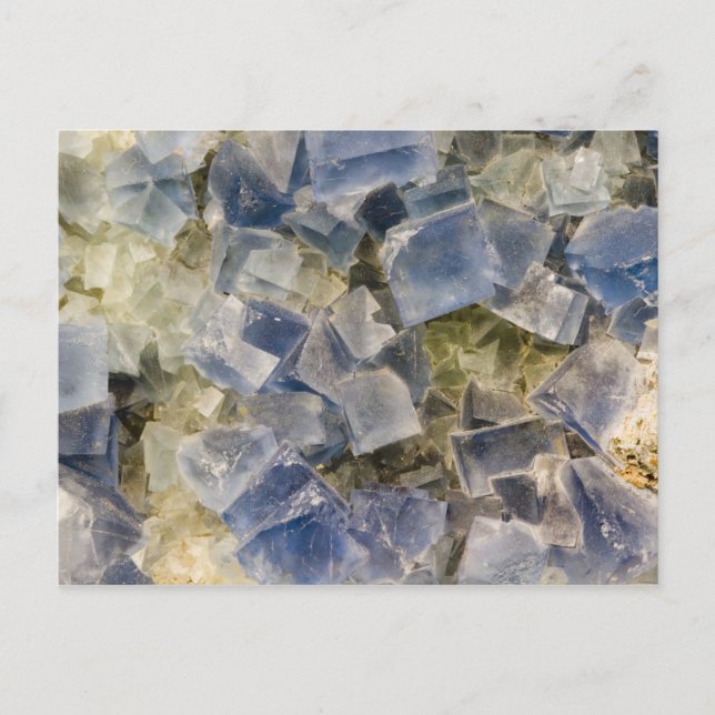 Carte Postale Cristaux fluorites bleus dans la matrice (Devant)
